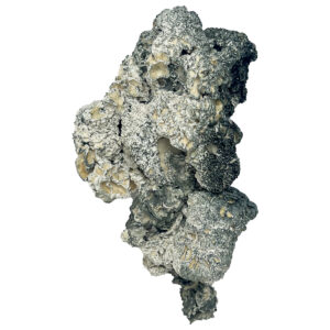 Buy Enigma Magic Mushrooms Online | Magic Mushrooms Dispensary