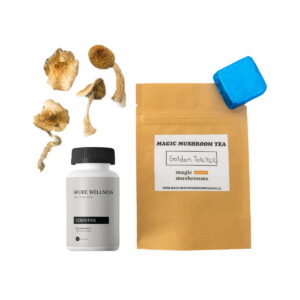 Buy First Timer Magic Mushroom Kit: Psych 101 - An Introduction to Psychedelics Online | Magic Mushrooms Dispensary