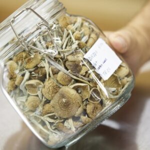 Featured Special 'Oz' Magic Mushrooms